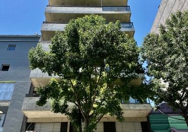 VENTA | MONOAMBIENTE | OVIDIO LAGOS 1225